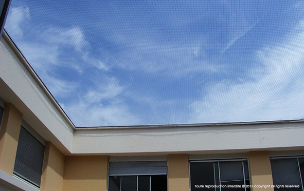 Filets anti-oiseaux mailles 50 - Filet Net