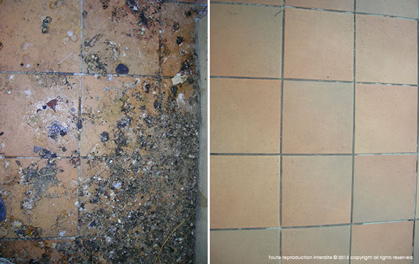 Nettoyant 100% biodégradable SelCleaning